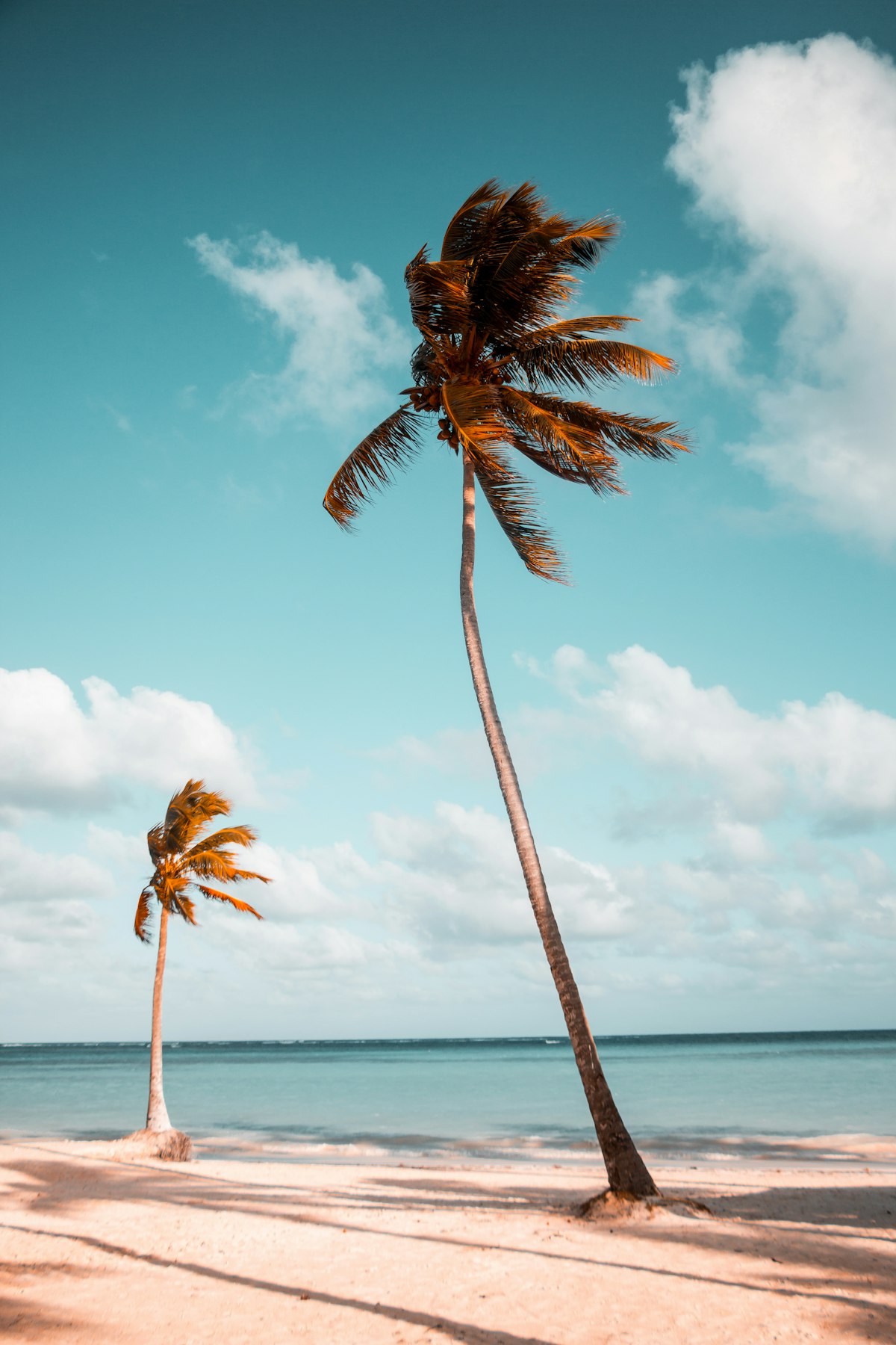 Crystal Clear Beaches
