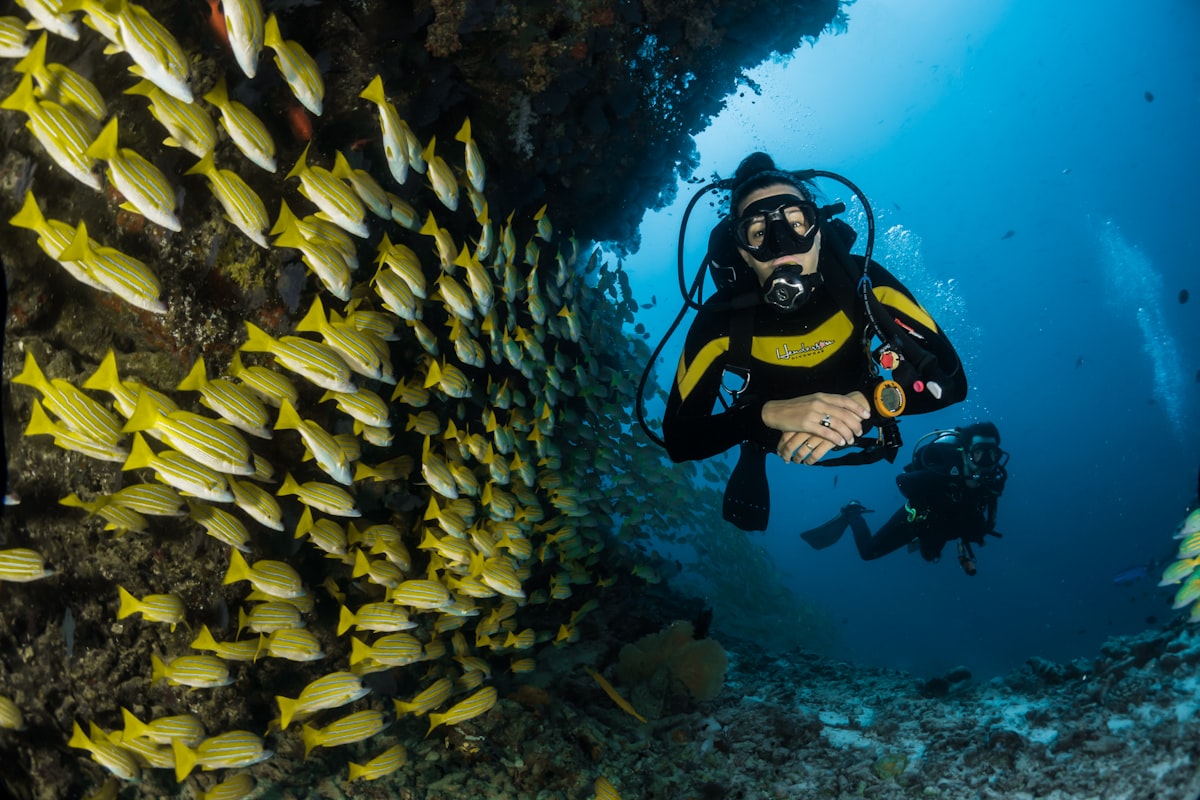 Snorkeling & Water Activities